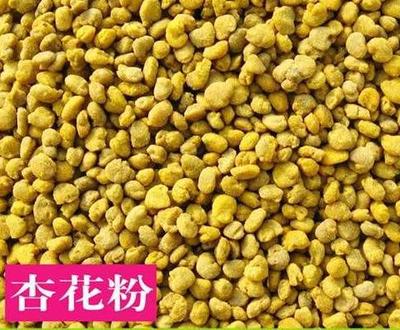 金宝伦 花粉纯度98%以上,发芽率70%以上 杏子花粉 欢迎致电