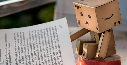 在亚马逊注册日本,欧洲,美国商标流程